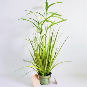 Onion Grass ,Price: $2.99- $19.99, Sales: 108000PCS,OG-YCC-072