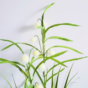 Onion Grass ,Price: $2.99- $19.99, Sales: 108000PCS,OG-YCC-072