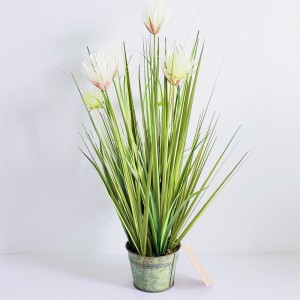 Onion GrassPrice: $2.99- $19.99, Sales: 108000PCS, OG-YCC-074,