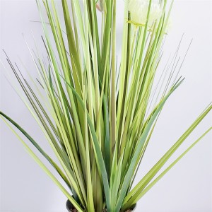 Onion GrassPrice: $2.99- $19.99, Sales: 108000PCS, OG-YCC-074,