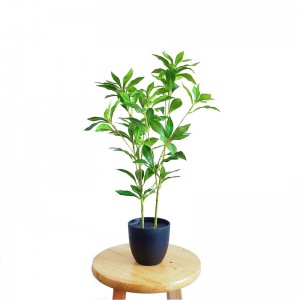 Potting PZ-GY-008