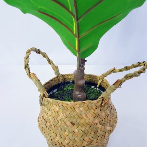 Potting PZ-GY-010