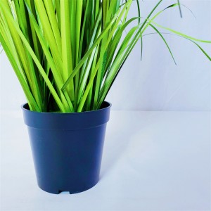 Onion Grass OG-YCC-015