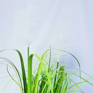 Onion Grass OG-YCC-015