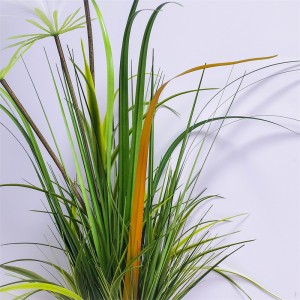 Onion Grass OG-YCC-022