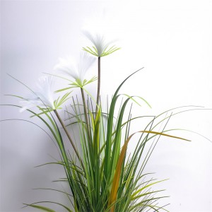 Onion Grass OG-YCC-022