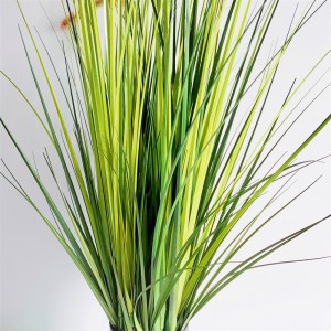 Onion Grass OG-YCC-025