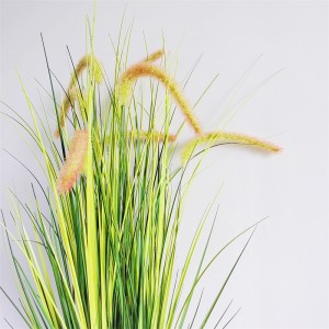 Onion Grass OG-YCC-025