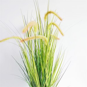 Onion Grass OG-YCC-025