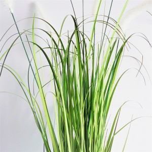 Onion Grass OG-YCC-026