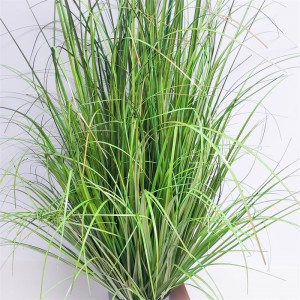 Onion Grass OG-YCC-028