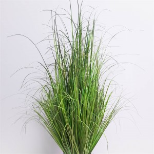 Onion Grass OG-YCC-028