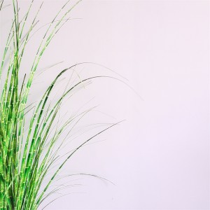 Onion Grass OG-YCC-036