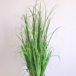 Onion Grass OG-YCC-038