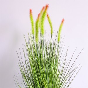 Onion Grass OG-YCC-039