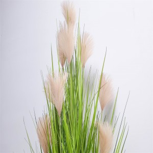 Onion Grass OG-YCC-033