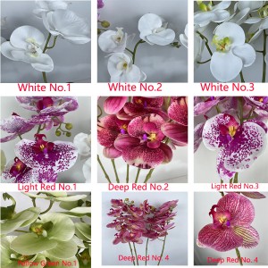 orchid    PRICE:$2.49–$2.99       PZF-LH–003