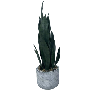 False Snake plant agave plants Price: $4.99- $6.99, Sales: 100000 PCS  PZ-HPL-003