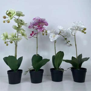 orchid potted   PRICE:$2.49–$2.99  ，  Sales: 100000 PCS   ， PZF-LH–004