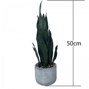 False Snake plant agave plants Price: $4.99- $6.99, Sales: 100000 PCS  PZ-HPL-003