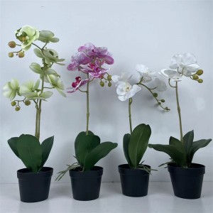 orchid potted   PRICE:$2.49–$2.99  ，  Sales: 100000 PCS   ， PZF-LH–004