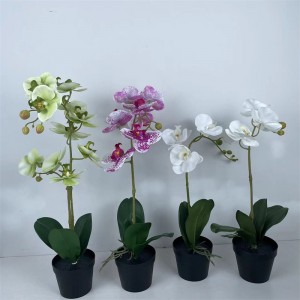 orchid potted   PRICE:$2.49–$2.99  ，  Sales: 100000 PCS   ， PZF-LH–004