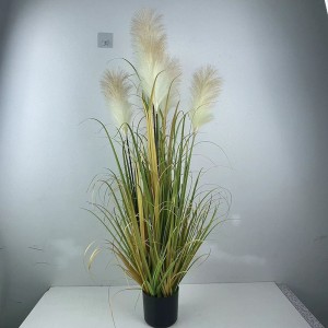 onion grass og-reed02