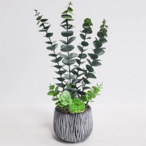 Mini Potted Plant 079